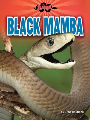 cover image of Black Mamba